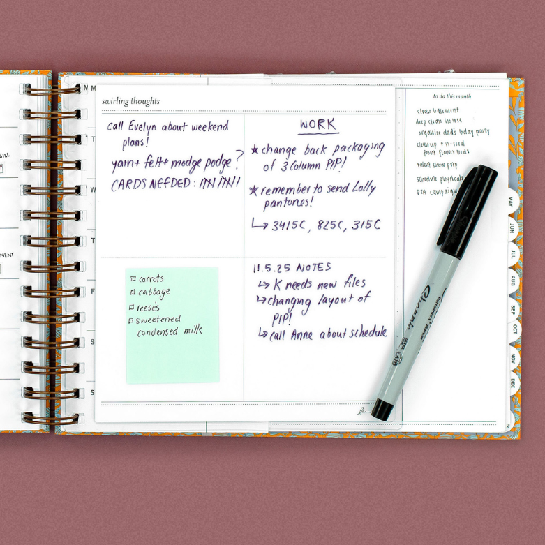 swirling thoughts pip.png